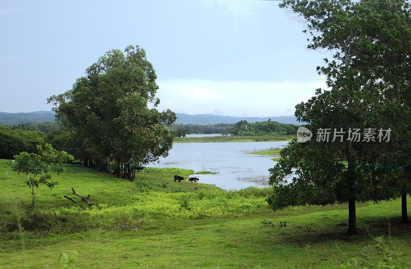 Cuba - Viñales - landscape